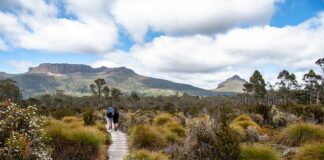 Co oznacza wersja Overland?