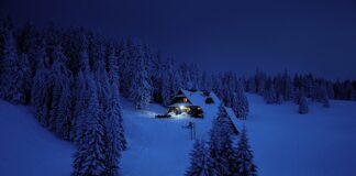 Ile Polska ma Humvee?