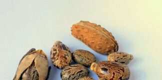 Ile wchodzi oleju do silnika Suzuki Grand Vitara 1.9 DDiS?