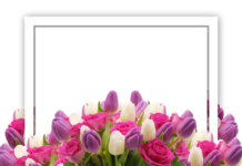 Ile kosztuje voucher na gokarty?