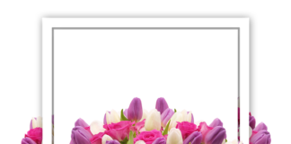 Ile kosztuje voucher na gokarty?