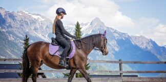 Na czym można jeździć bez prawa jazdy?