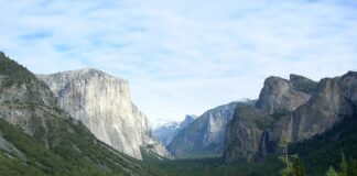 Ile biegów ma QUAD 250?