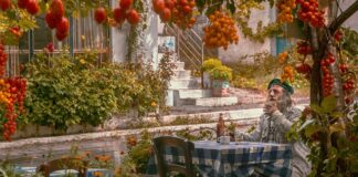 Ile pali Seat Leon 1.9 TDI?