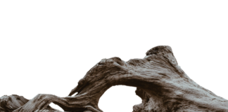 Czy Alfa Romeo MiTo się psuje?