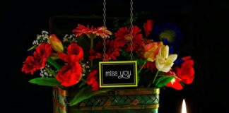 Ile pali fiat bravo?