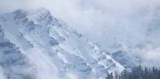 Ile kosztuje przegląd w Lexusie?