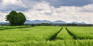 Jaki rozstaw śrub Fiat Grande Punto?